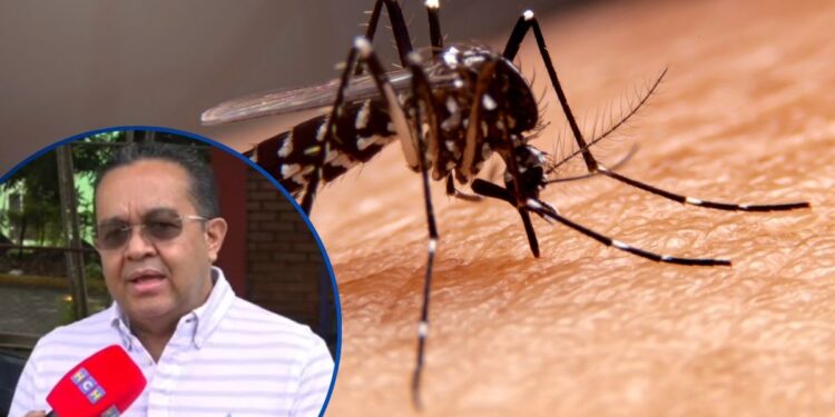 ¡Preocupante! Se disparan casos de Dengue, San Pedro Sula registra 15 en la última semana