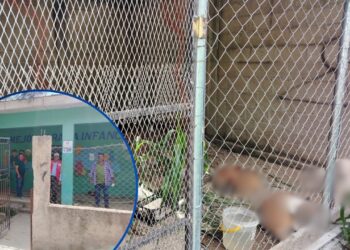 ¡Se desató la cacería! “Firulais” terminan encerrados en la perrera de Teupasenti por los L200 de recompensa