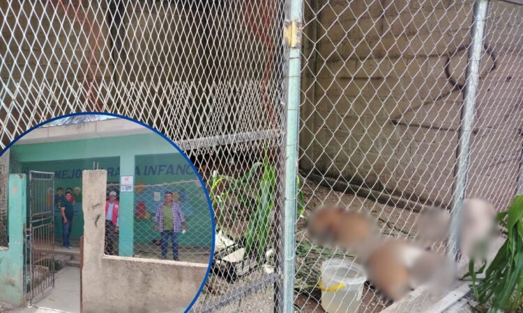¡Se desató la cacería! “Firulais” terminan encerrados en la perrera de Teupasenti por los L200 de recompensa