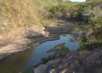 ¡Se seca el río Moramulca! La sequía golpea fuertemente la zona sur de Honduras