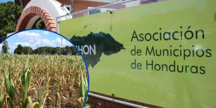 ¡Se vienen nuevas reglas! Alcaldías podrán imponer “medidas obligatorias” contra la sequía, el dengue; y regular la perforación de pozos