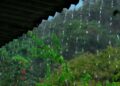 Onda tropical dejará lluvias hoy en Honduras, según Copeco
