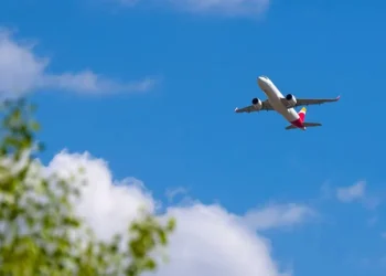Mueren dos personas al estrellarse una avioneta en Florida, Estados Unidos