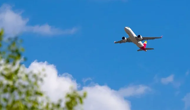 Mueren dos personas al estrellarse una avioneta en Florida, Estados Unidos
