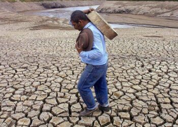 El Niño seca cultivos y vacía reservas de agua en América Latina: la ONU teme que 16 millones de personas queden sin alimentos