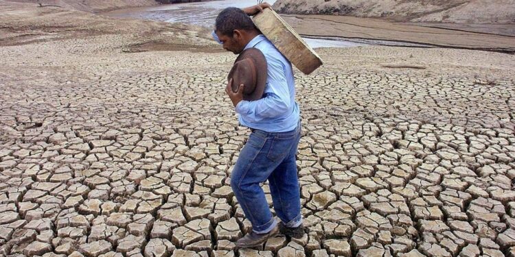 El Niño seca cultivos y vacía reservas de agua en América Latina: la ONU teme que 16 millones de personas queden sin alimentos