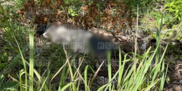 ¡No para el crimen! Embolsado y ensabanado dejan cadáver en barranco Altos del Trapiche