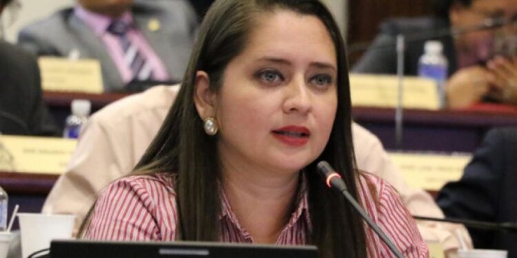 Caso Comisión Permanente: Admiten amparo a favor de Scherly Arriaga contra resolución que le impidió acceso al expediente de investigación
