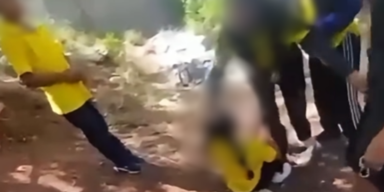 ¿Dónde están las autoridades educativas? Incidente entre alumnas genera preocupación en un instituto gubernamental de la capital