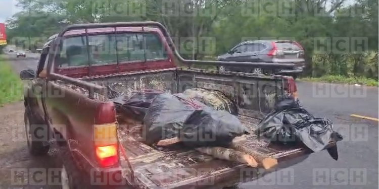 ¡No se dieron por vencidos! Tras tres días de búsqueda, encuentran a hombre que fue arrastrado por un río en Cedros