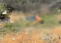 ¡Sangre en medio de la piña! Asesinan a balazos a un hombre dentro de una finca en El Porvenir, Atlántida