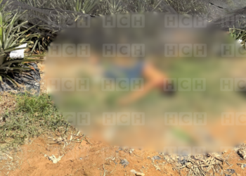 ¡Sangre en medio de la piña! Asesinan a balazos a un hombre dentro de una finca en El Porvenir, Atlántida