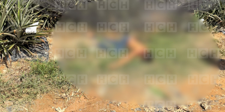 ¡Sangre en medio de la piña! Asesinan a balazos a un hombre dentro de una finca en El Porvenir, Atlántida