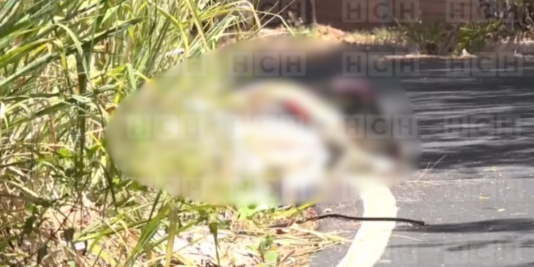 ¡Lo torturaron y lo mataron! Hallan ensabanado a un hombre tras brutal crimen en la colonia Rubén Darío