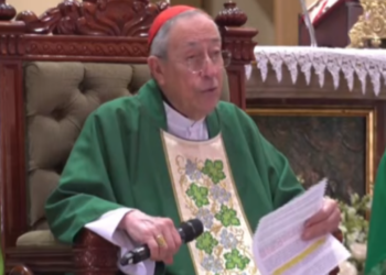 Cardenal Óscar Andrés Rodríguez: “No se puede decir ser cristiano y creer que el aborto y la eutanasia son un derecho”