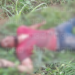 ¡La violencia no para! De varios plomazos asesinan a un hombre en Juticalpa, Olancho