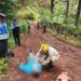 De un certero balazo matan a hombre en Valle de Ángeles