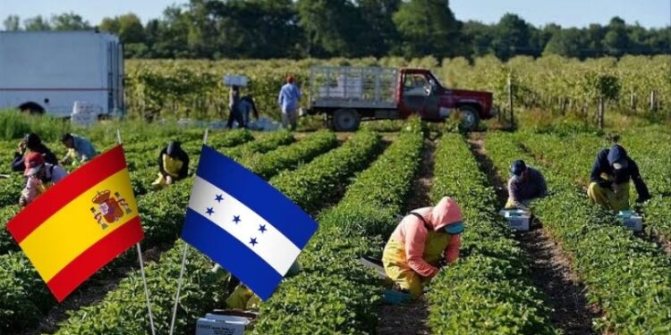 Visa de trabajo a España