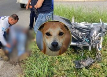 Motociclista sufre fuerte accidente en La Ceiba