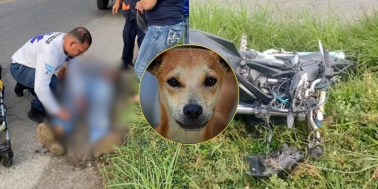 Motociclista sufre fuerte accidente en La Ceiba