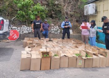 Capturan a guatemalteco al intentar ingresar ilegalmente más de 1,200 litros de aguardiente en Copán