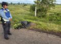 ¡Lo habrían atropellado! Hallan muerto a hombre en carretera hacia Santa Rita, Yoro