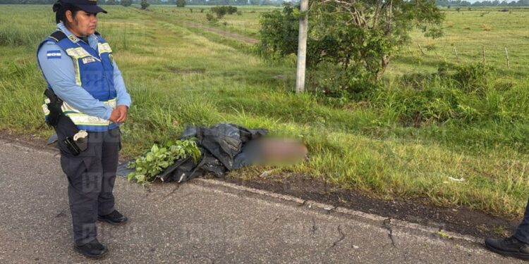 ¡Lo habrían atropellado! Hallan muerto a hombre en carretera hacia Santa Rita, Yoro