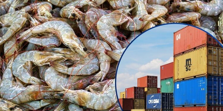 Honduras proyecta exportar más de 100 contenedores de camarón a China en 2026