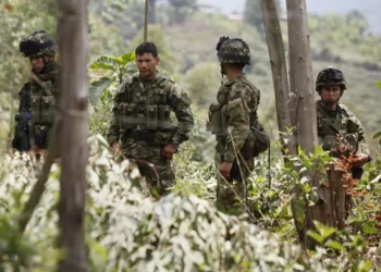 Un juez ordena al Gobierno de Colombia a abstenerse de bombardeos en zonas con menores reclutados