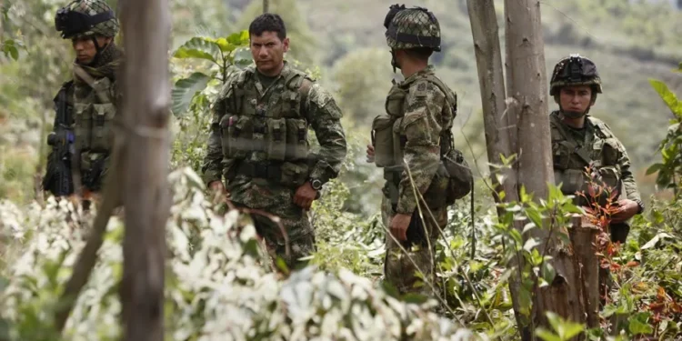 Un juez ordena al Gobierno de Colombia a abstenerse de bombardeos en zonas con menores reclutados