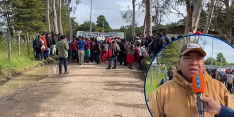 “Se lo están dando a otros que no producen”: Productores de papa se toman la SAG-DICTA en Intibucá exigiendo incentivo agrícola