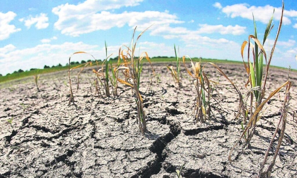 Super Niño amenaza con causar 451 mil muertes por calor