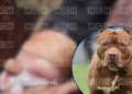 Como Ulises Alonzo identifican al hombre que murió tras ataque de su pitbull en el Hato de Enmedio