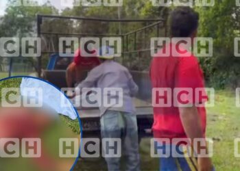 ¡Se rompe la tranquilidad! Tras años de paz, reportan sangriento homicidio en Santa Cruz de Yojoa