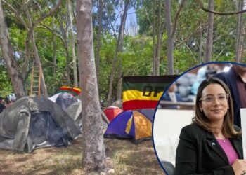 ¡Pide poner fin a los procesos! Diputada presenta moción por defensores de tierras ancestrales