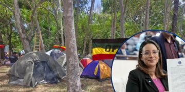 ¡Pide poner fin a los procesos! Diputada presenta moción por defensores de tierras ancestrales