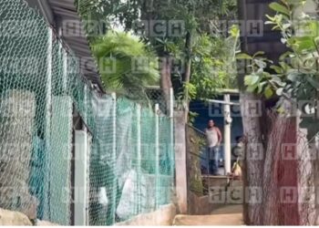 ¡Lamentable! Encuentran sin vida a jovencito dentro de su vivienda en Santa Cruz de Yojoa; investigan posible intoxicación alcohólica