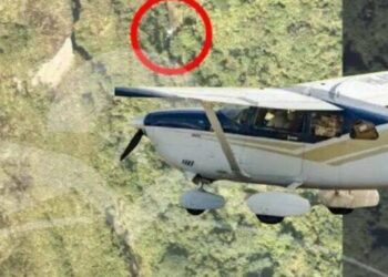 Hallan sin vida a los cinco ocupantes del avión accidentado en Colombia