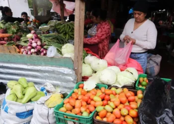 El costo de la canasta básica de alimentos de El Salvador aumenta un 5.6 % en agosto 2026