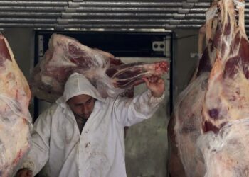 Brasil afronta un doble golpe exportador: Europa suspende la carne y China reduce sus compras