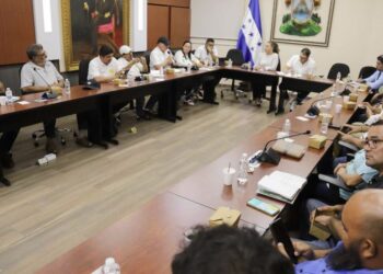 Comisión legislativa y transportistas avanzan en alternativas para la conversión de unidades