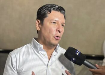 “Se requiere el nombramiento de un ministro que tenga conocimiento”: diputado Roberto Cosenza