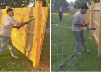 Gringo contrató a unos obreros latinos y llamó a ICE para no pagarles, pero se llevó la sorpresa de su vida