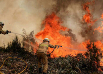 Honduras registra 763 incendios estructurales y Bomberos en alerta por el impacto de la sequía en el abastecimiento de agua
