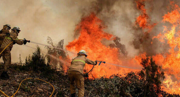 Honduras registra 763 incendios estructurales y Bomberos en alerta por el impacto de la sequía en el abastecimiento de agua