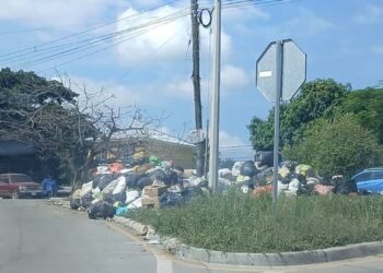 Toneladas de basura se acumulan en Río Blanco en San Pedro Sula por fallas en el tren de aseo