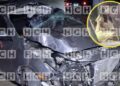 ¡Nala casi se mata! La cariñosa más famosa de las redes sociales sobrevive de milagro a un accidente vial en la capital
