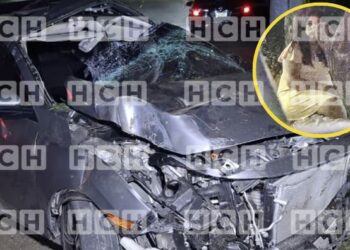 ¡Nala casi se mata! La cariñosa más famosa de las redes sociales sobrevive de milagro a un accidente vial en la capital