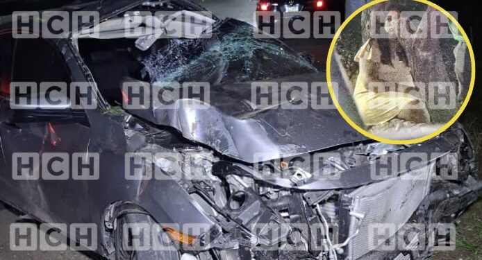 ¡Nala casi se mata! La cariñosa más famosa de las redes sociales sobrevive de milagro a un accidente vial en la capital