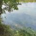 ¡Aparente crimen! Hallan muerto a hombre en las aguas del río Humuya, Yojoa